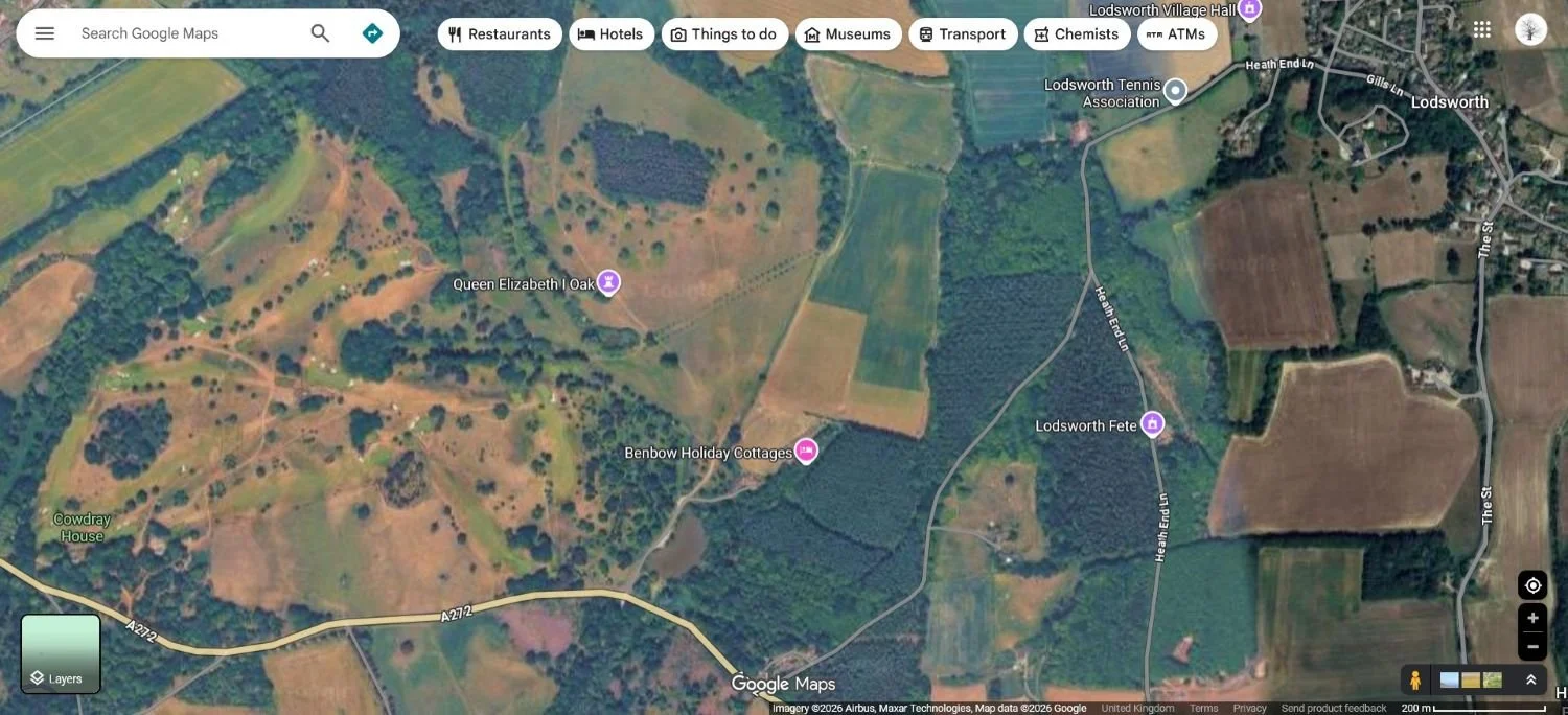 queen-elizabeth-oak-satellite-view.jpg