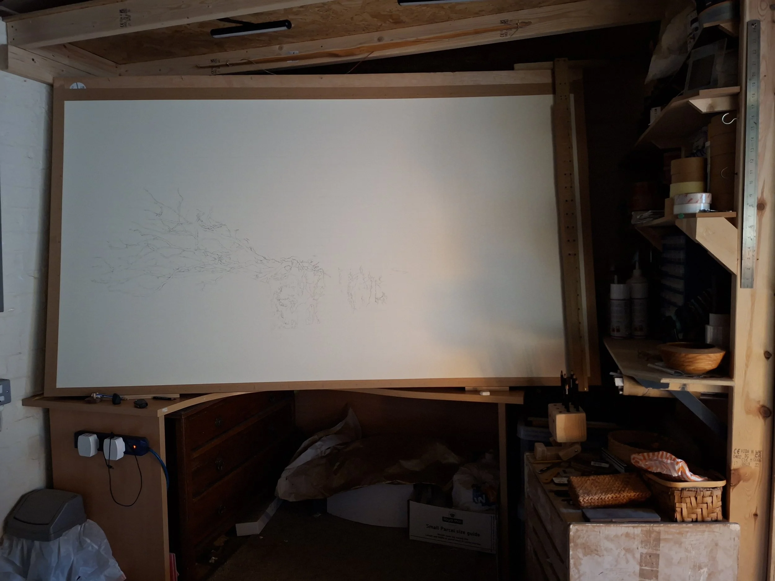 queen-elizabeth-oak-initial-sketch.jpg