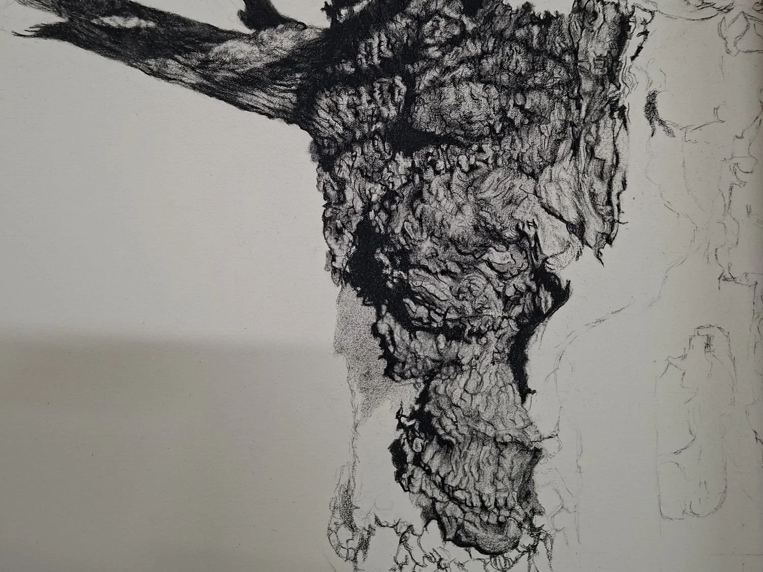 queen-elizabeth-oak-bark-detail-charcoal.jpg