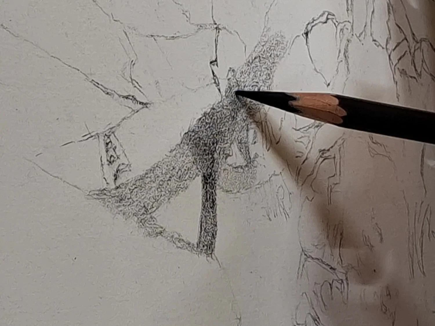 beginning-to-draw-queen-elizabeth-oakcharcoal-texture-first-marks-queen-elizabeth-oak.jpg