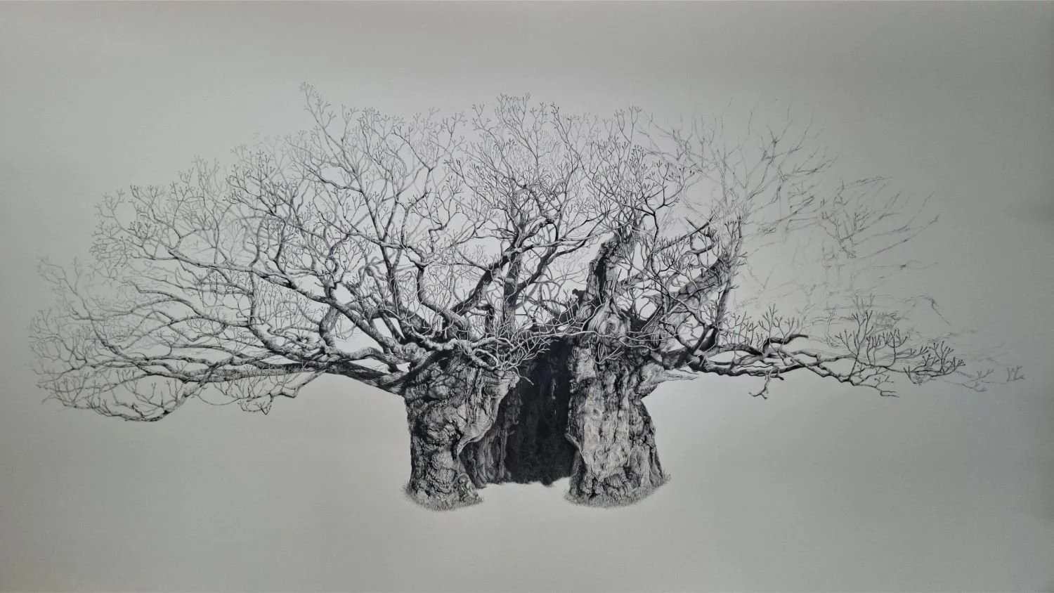 queen-elizabeth-oak-right-canopy-detail.jpg