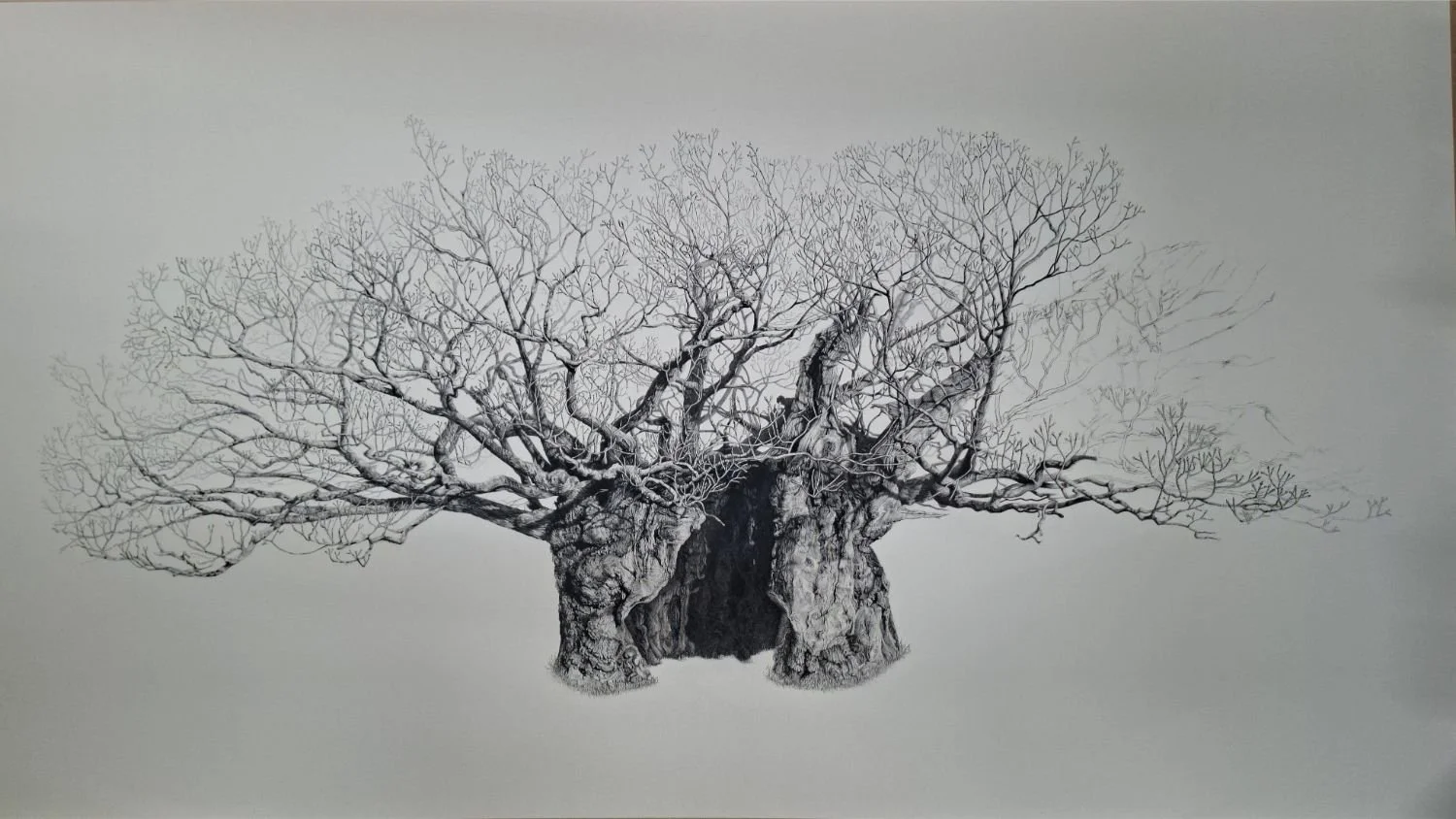 queen-elizabeth-oak-nearing-completion.jpg