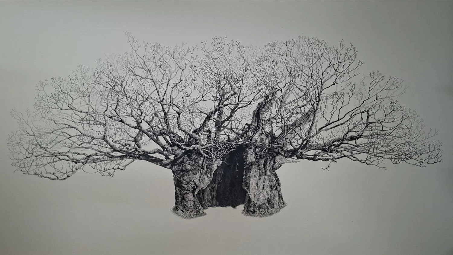 queen-elizabeth-oak-finished-artwork.jpg