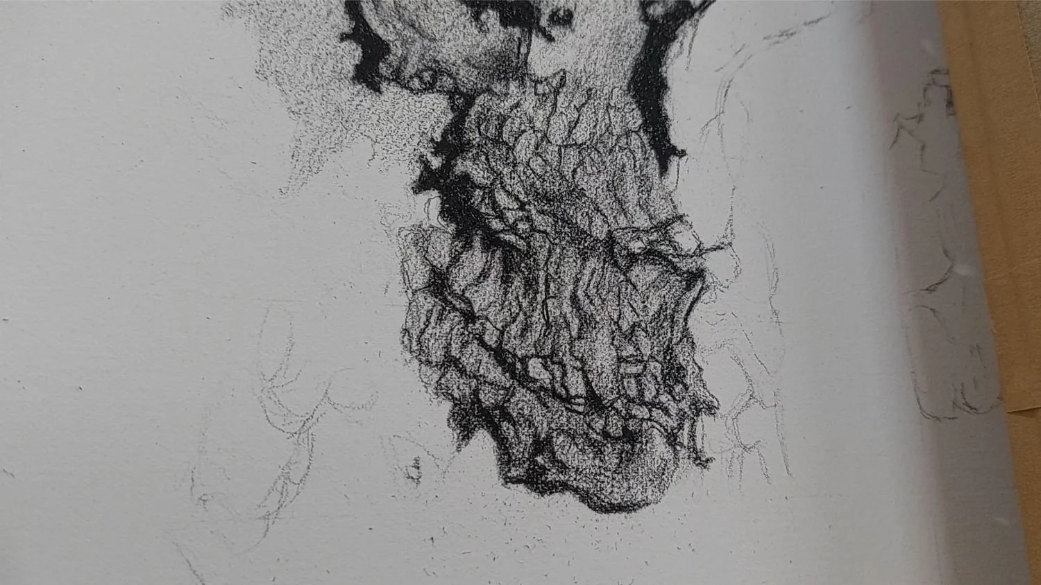 queen-elizabeth-oak-bark-developing-texture.jpg