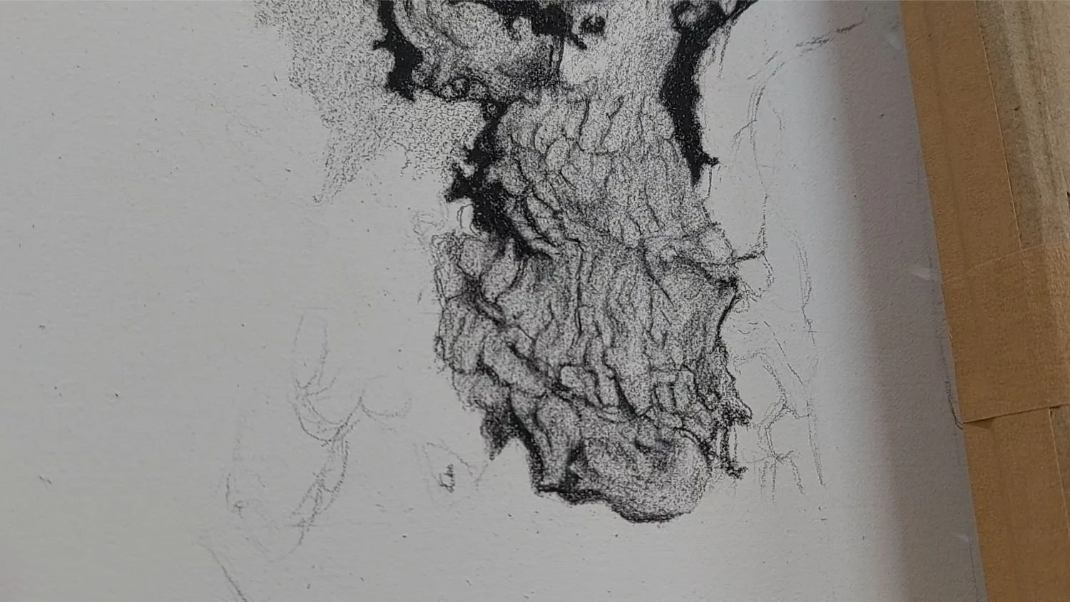 queen-elizabeth-oak-bark-refinement.jpg
