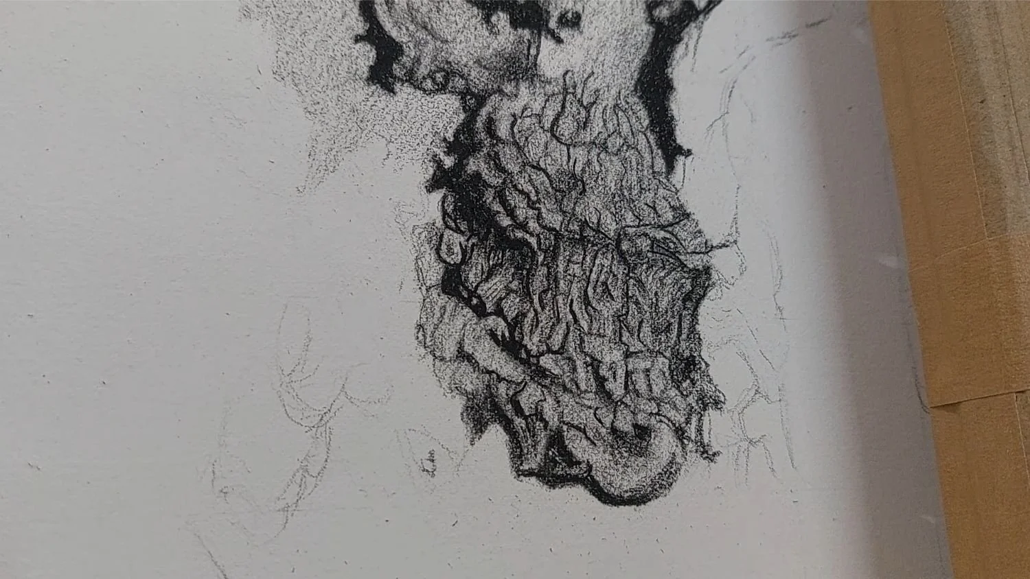 queen-elizabeth-oak-bark-adding-contrast.jpg