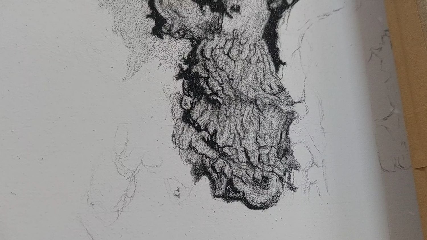 queen-elizabeth-oak-bark-texture-refined.jpg