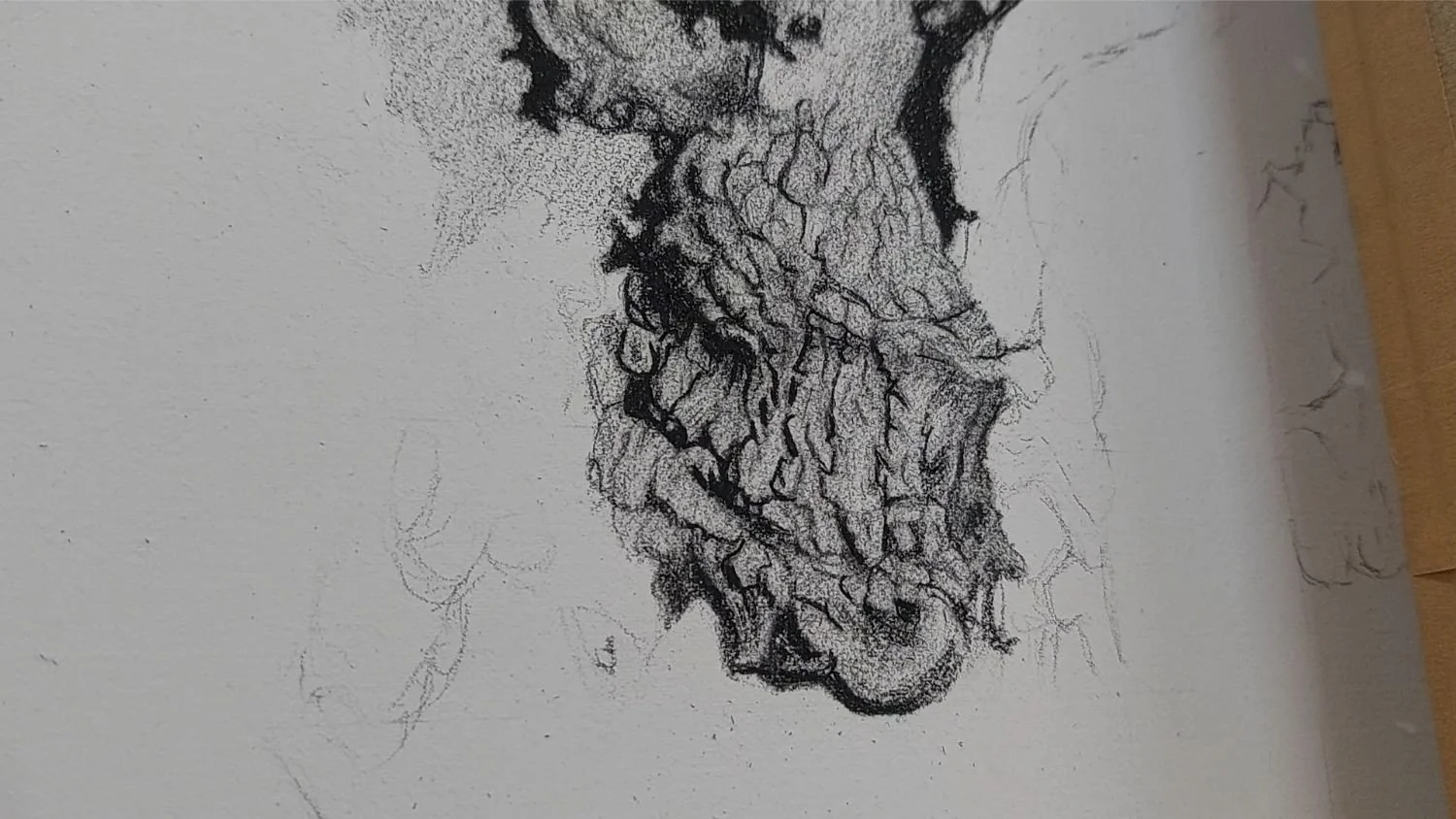 queen-elizabeth-oak-bark-nearing-completion.jpg