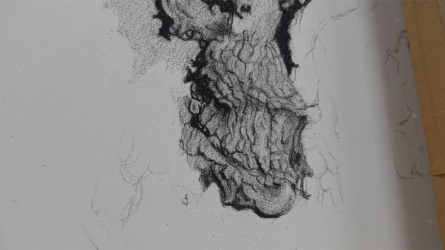 queen-elizabeth-oak-bark-final-details.jpg