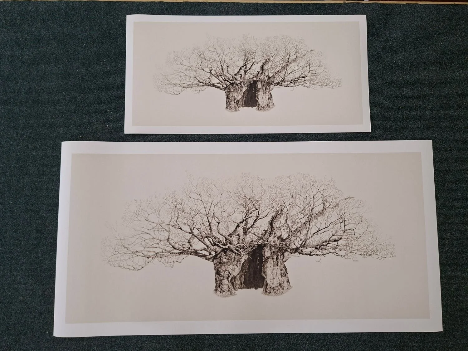 queen-elizabeth-oak-fine-art-prints.jpg