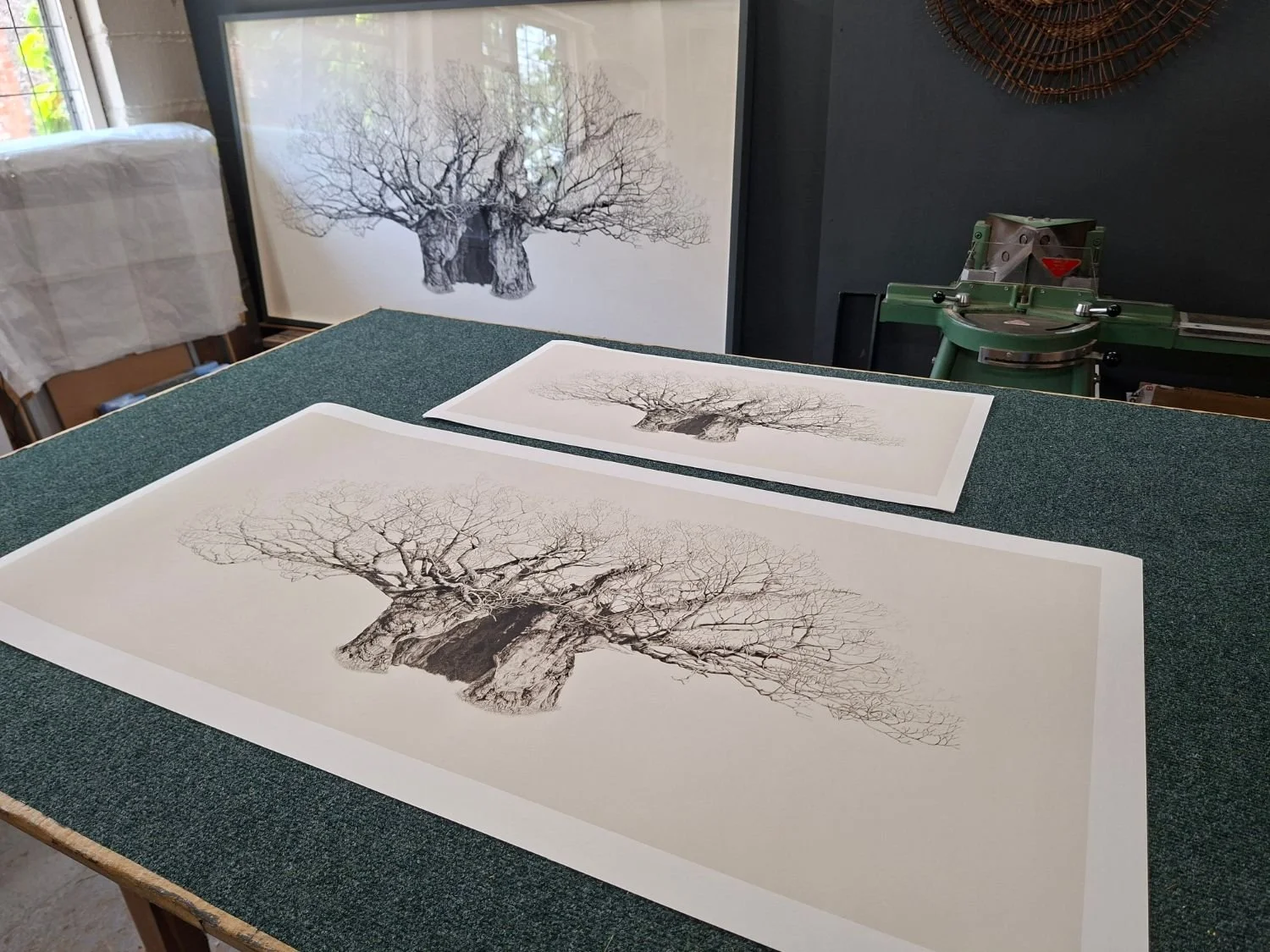 queen-elizabeth-oak-limited-edition-print.jpg