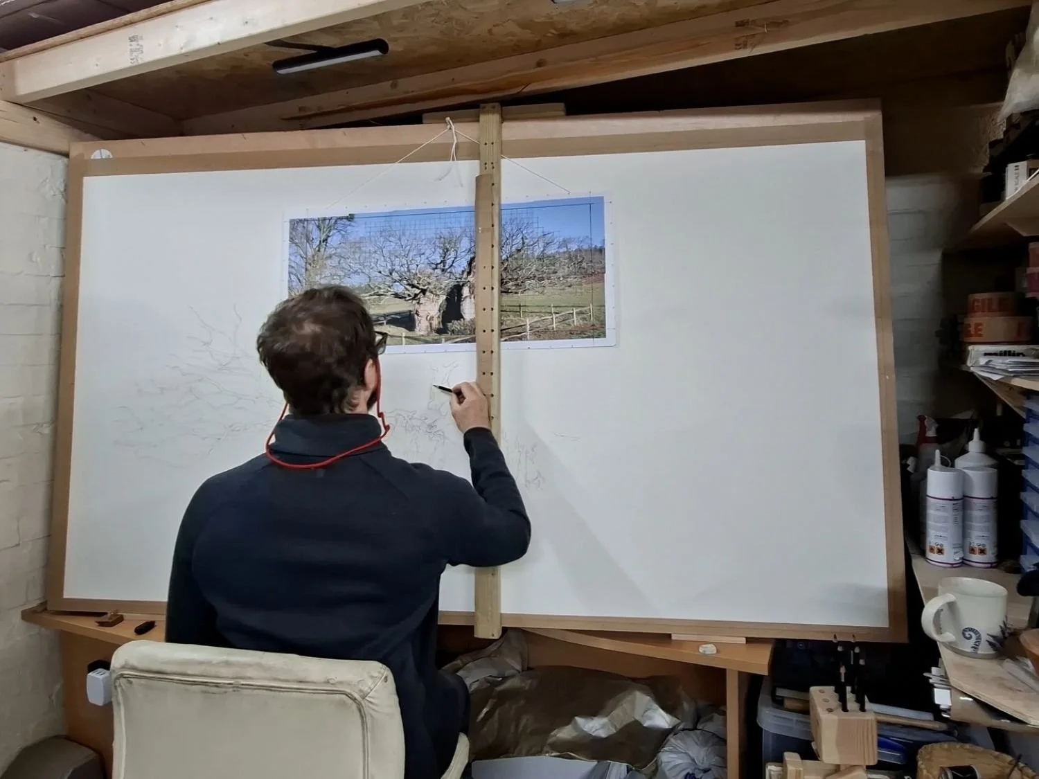 Nick McMillen drawing Queen Elizabeth Oak