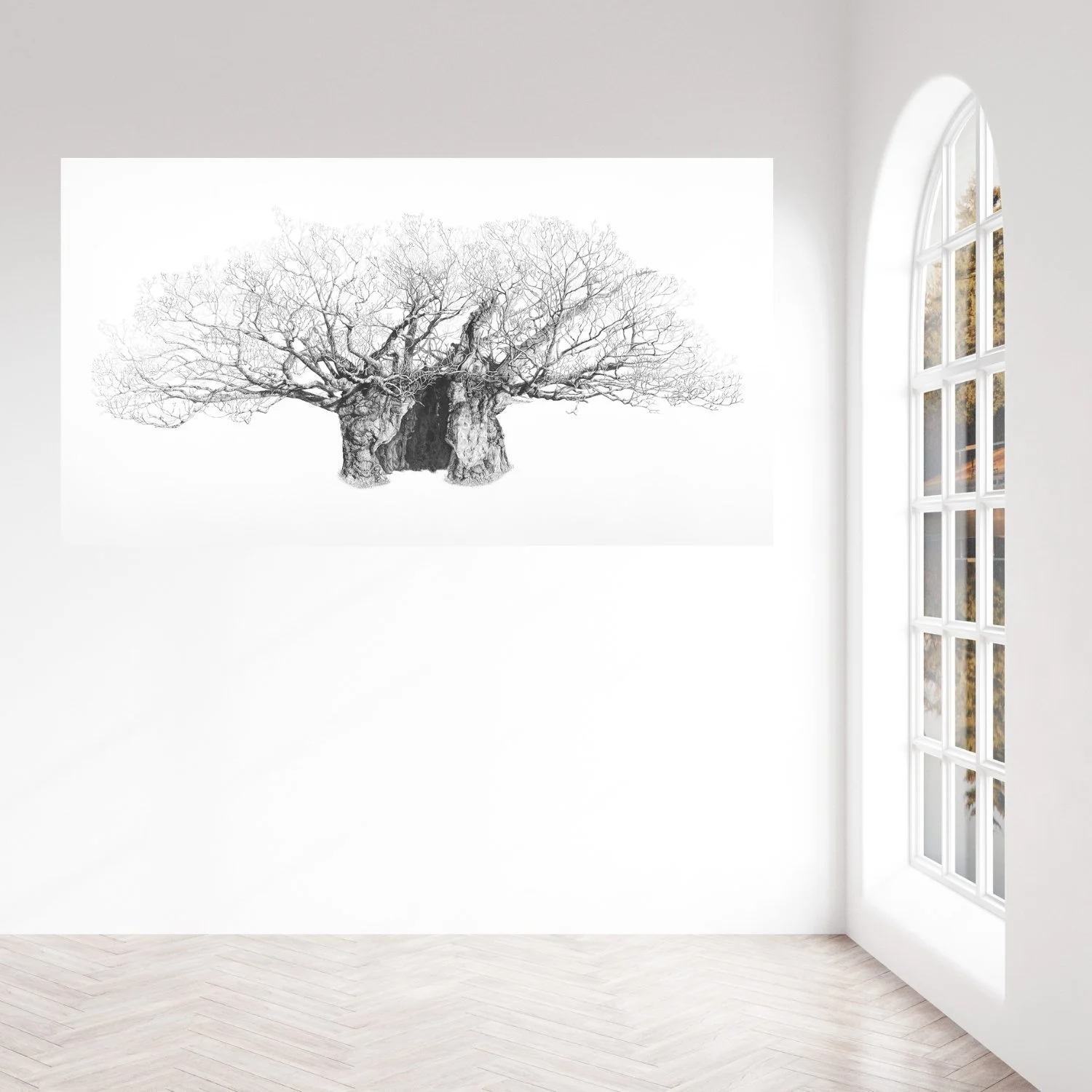 Queen Elizabeth Oak Original Drawing In Situ