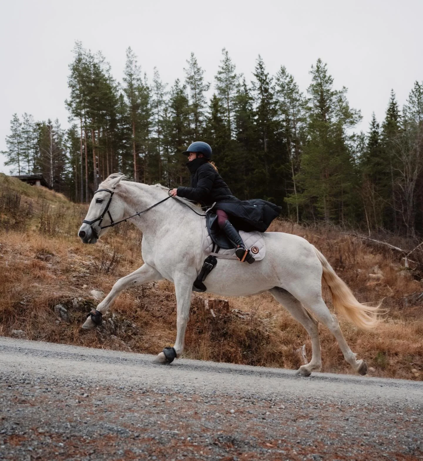 Another stable lady&rsquo;s daughter is eager to go on trips on her own. When we were her age, we galloped alone in the woods and it was no problem. Maybe we&rsquo;ve become too afraid of what might happen, but the horses usually bring us all home sa