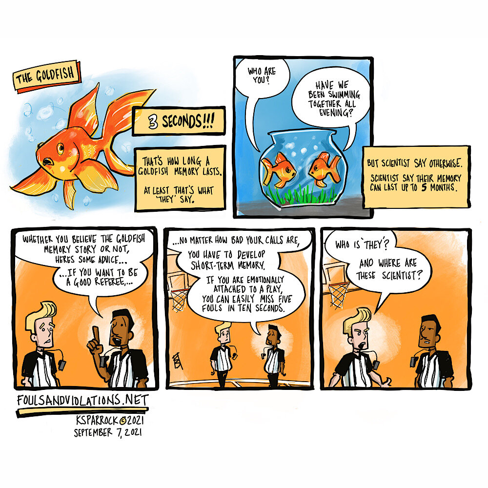 The Goldfish lesson!