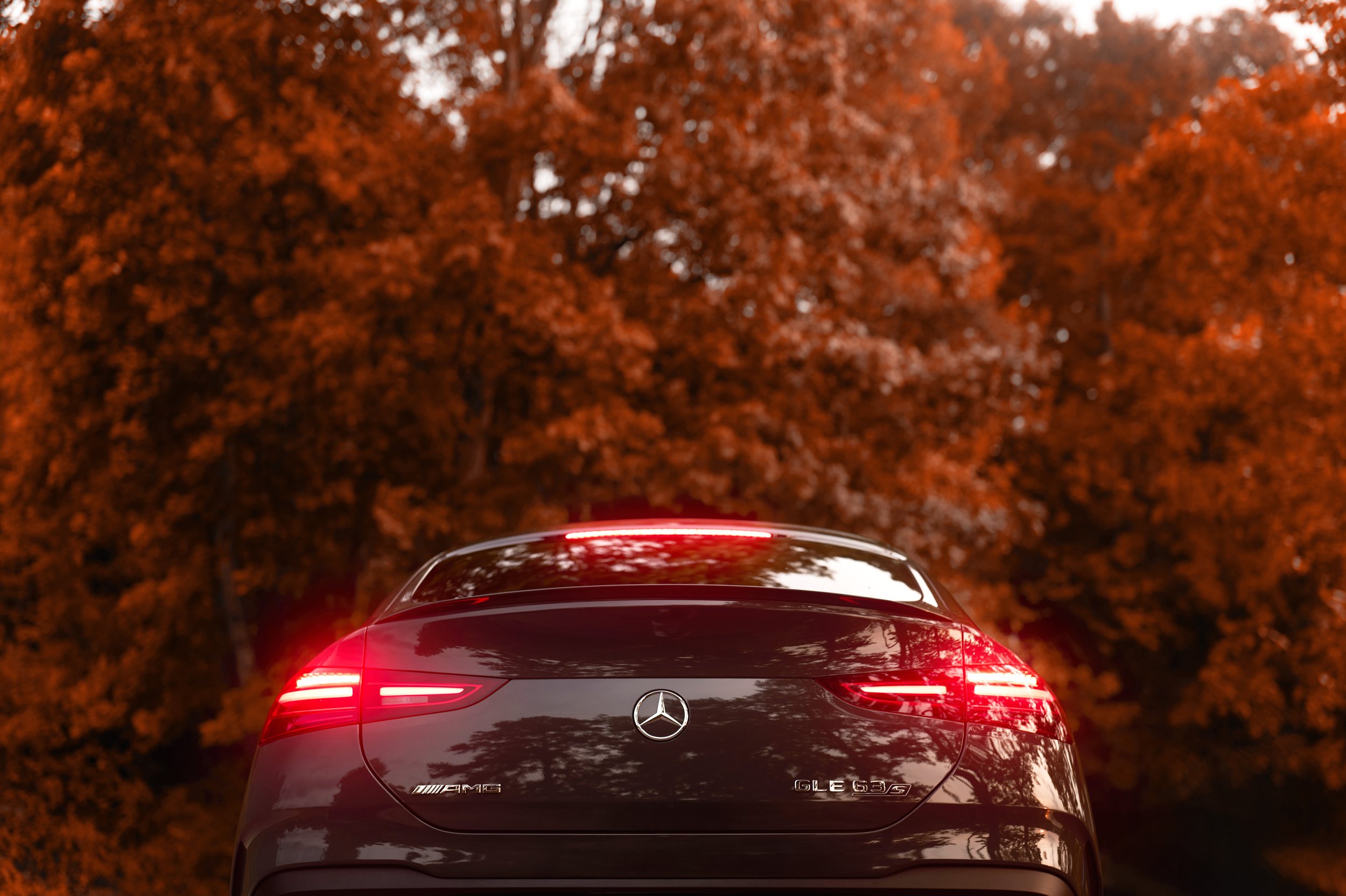 20250906_MBUSA GL63S Coupe_L1060910.jpg