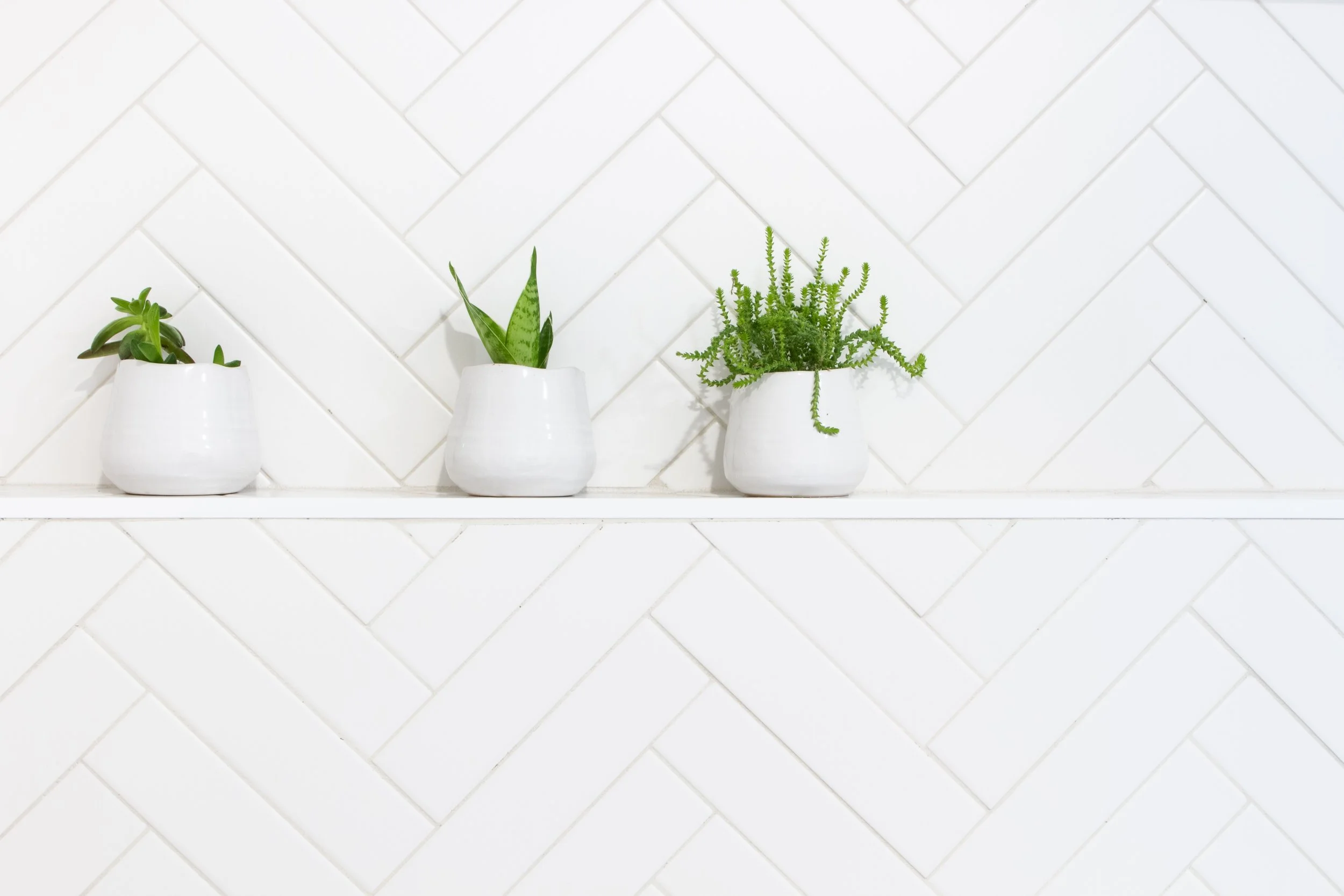 Portland Guide to Bathroom Tile