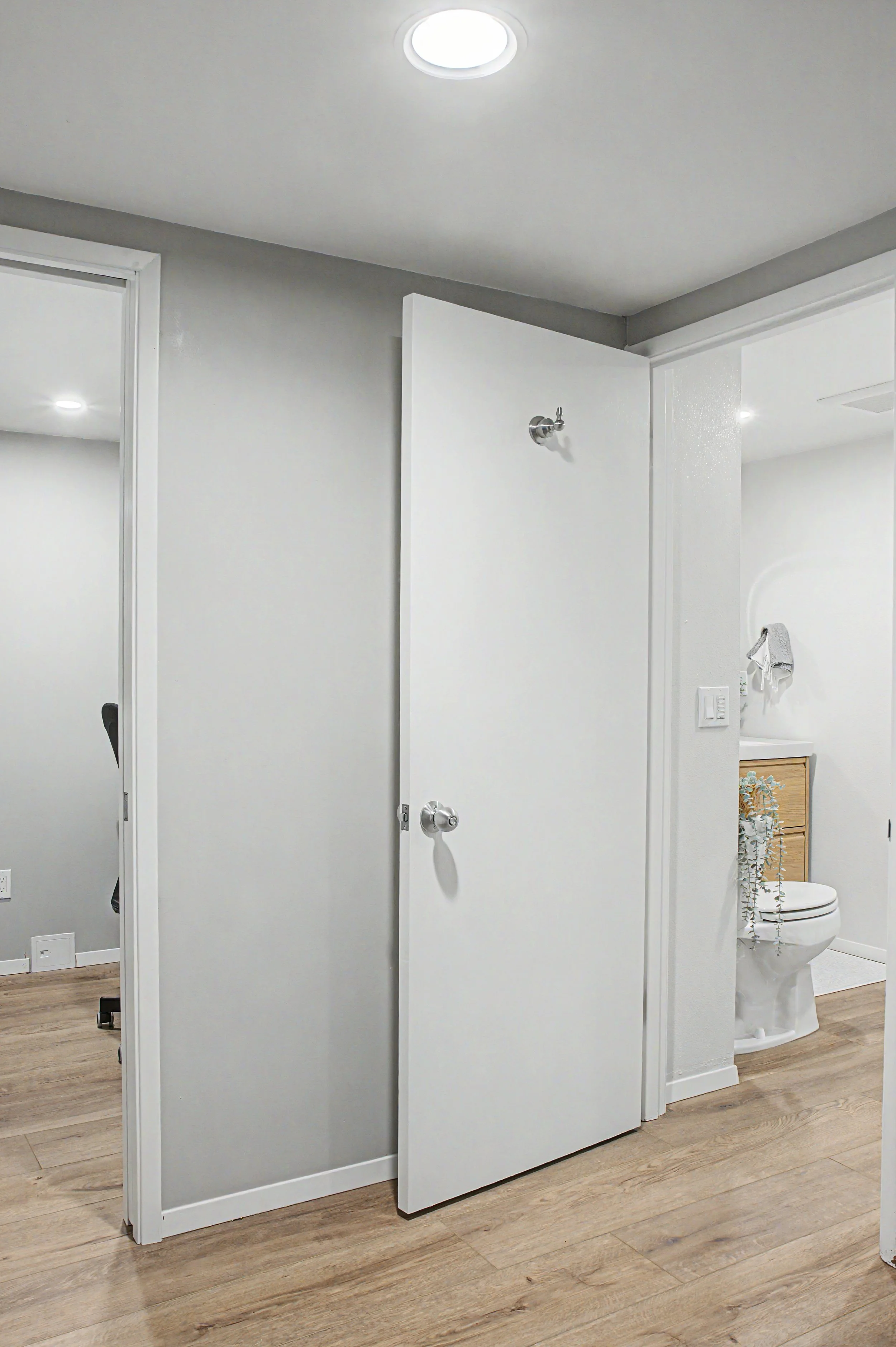 Portland Basement and Bathroom Remodel