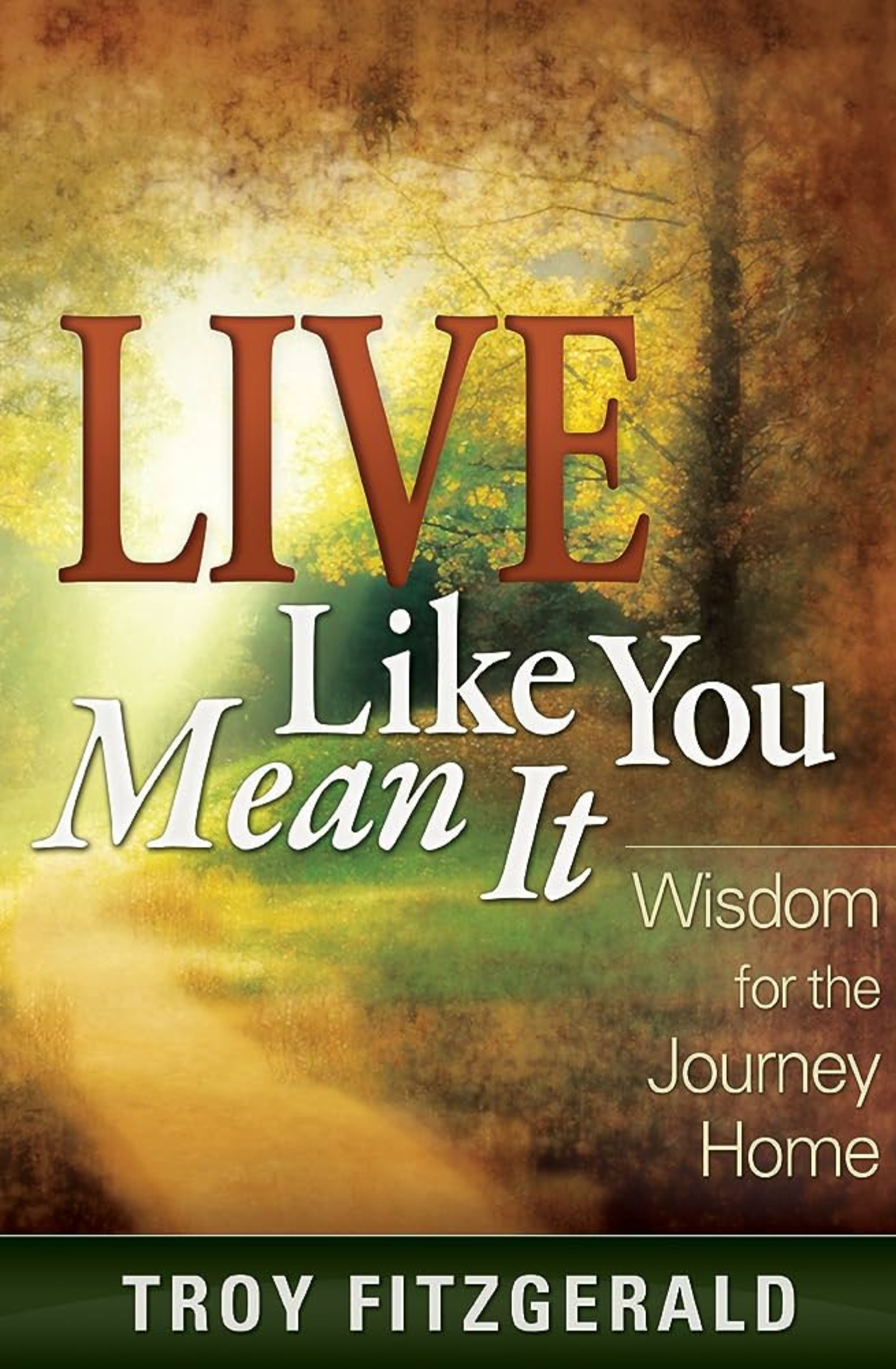    This book explores the Apostle Peter, who explains salvation as how we walk toward home. How do I start? How can I find my stride as I walk? How do I storify (or tell the story) as we go home?   