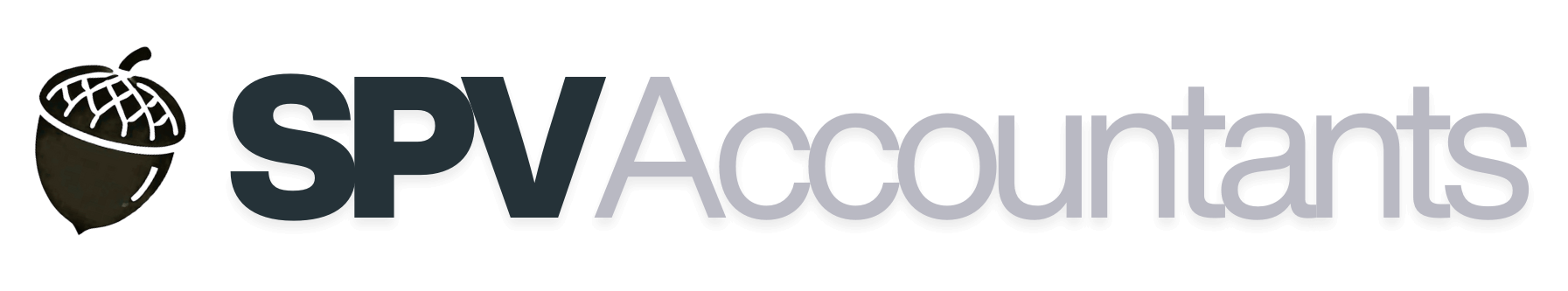 SPV Accountants logo