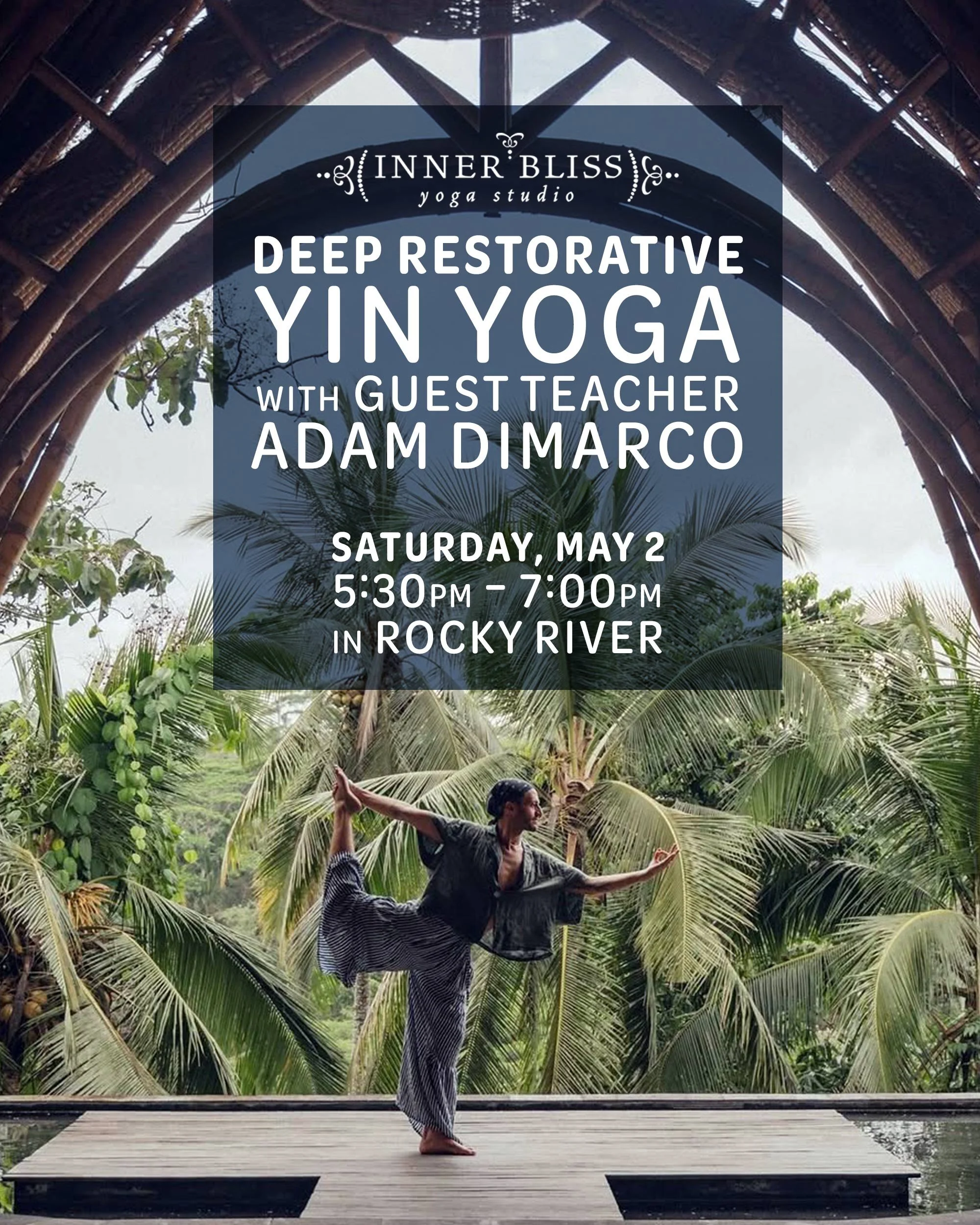 Deep Restorative Yin Yoga with Guest Teacher Adam DiMarco