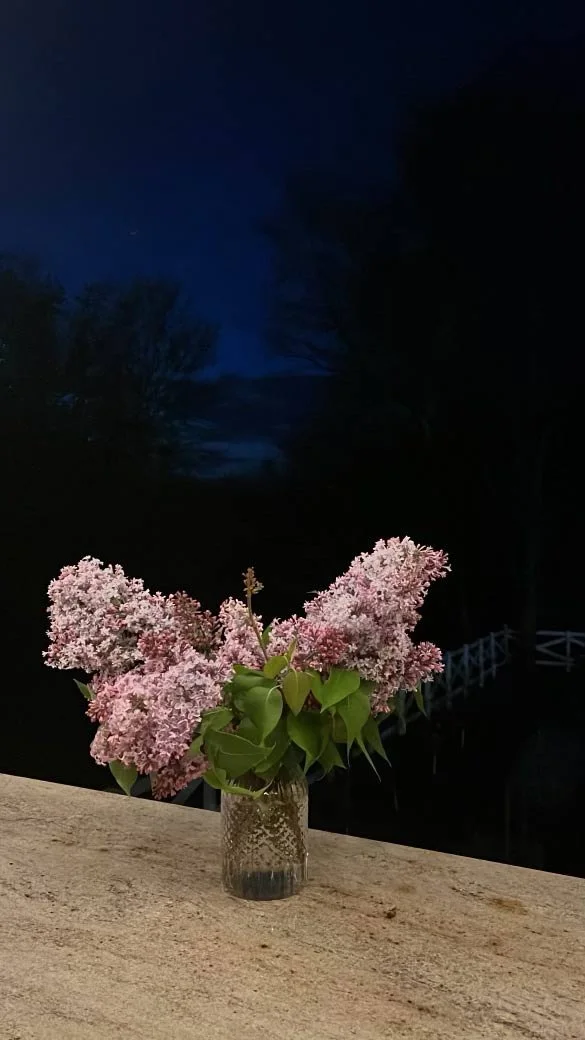 4B573BB2-423E-4584-ABE4-F726D57D4EA3.jpg