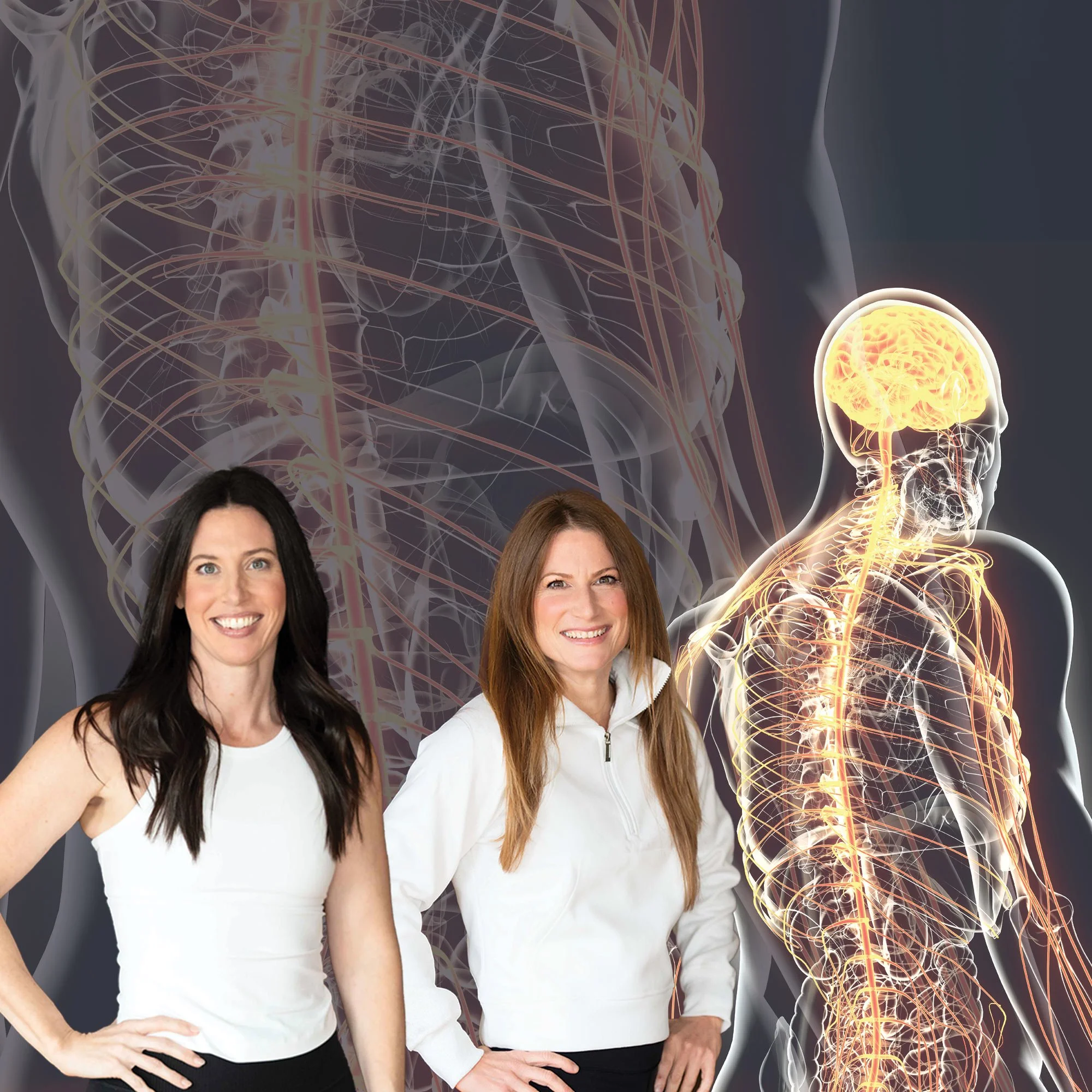 Why Yoga Works: A Workshop Combining Psychoeducation for Nervous System Regulation and a Restorative Yoga Practice