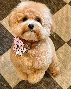 675b712caaf97e09b87e2d91