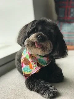 675b71422a76b57d7203ae3f