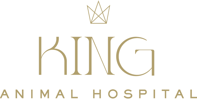 king-logo.png