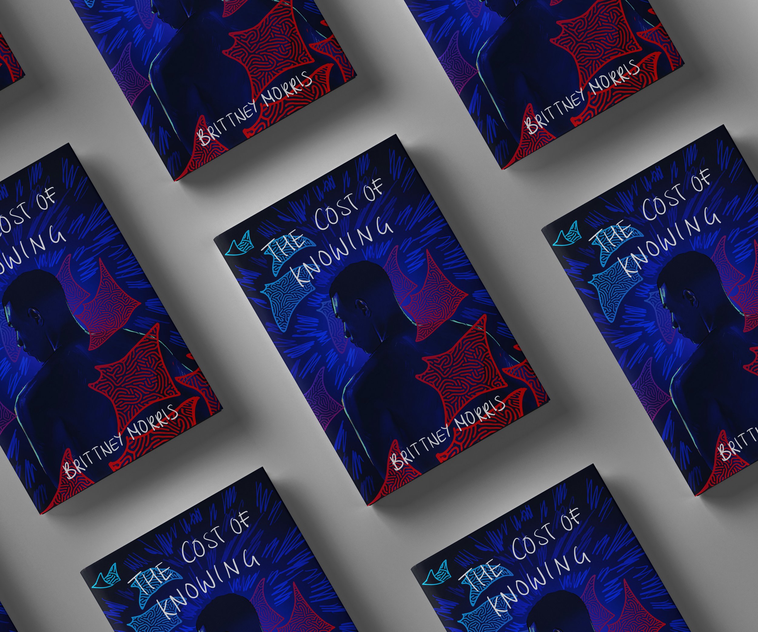 The Cost of Knowing book cover.jpg