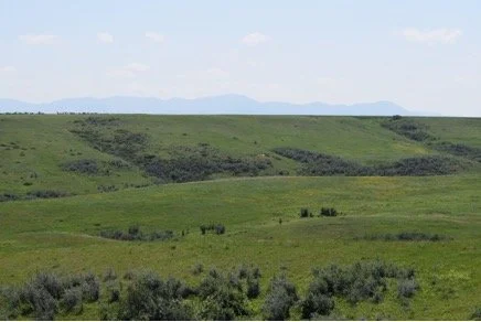 Rebuilding Our Natural Capital, Together