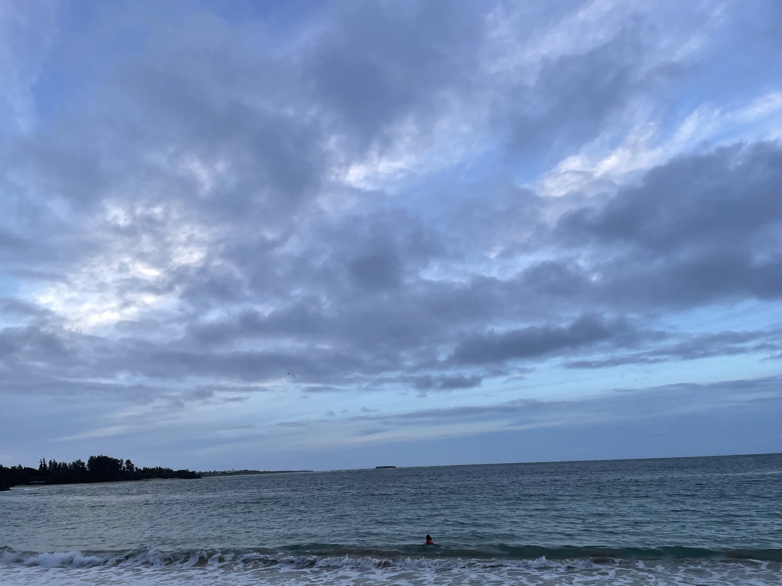 IMG_2113.jpeg