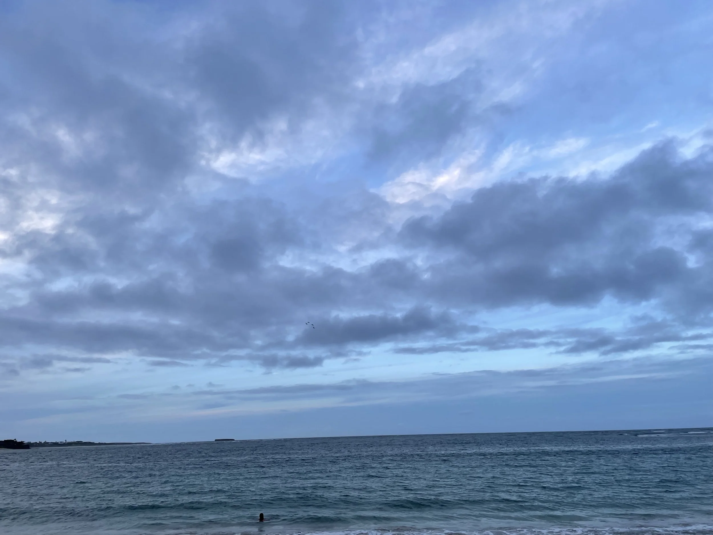 IMG_2112.jpeg