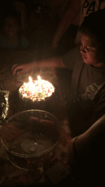 IMG_3755.gif