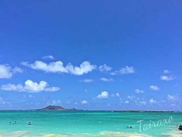 IMG_3797.jpeg