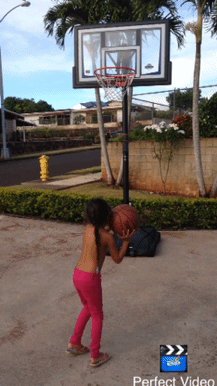 IMG_4175.gif