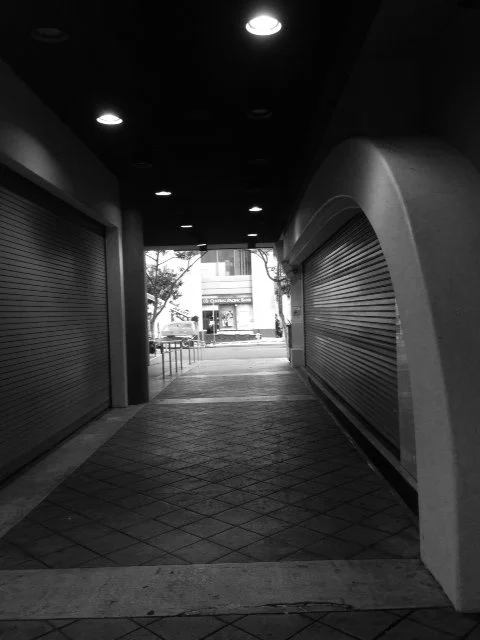 IMG_4246.jpeg
