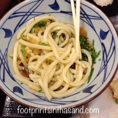 IMG_4631.gif