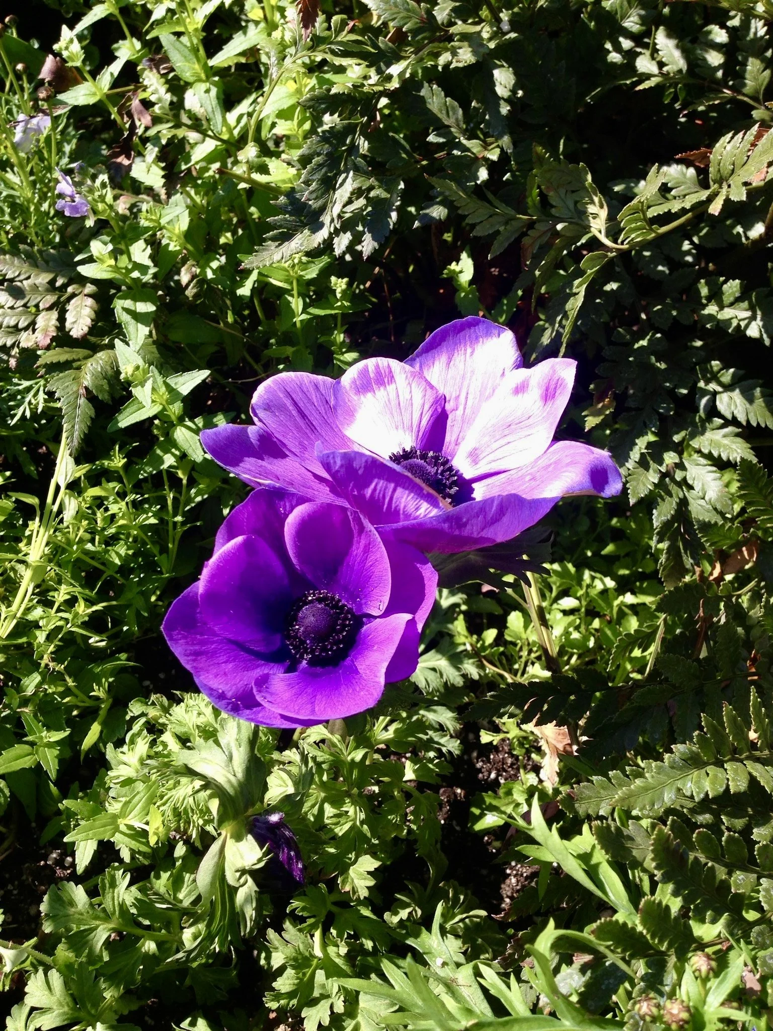 IMG_5734_Original.jpeg