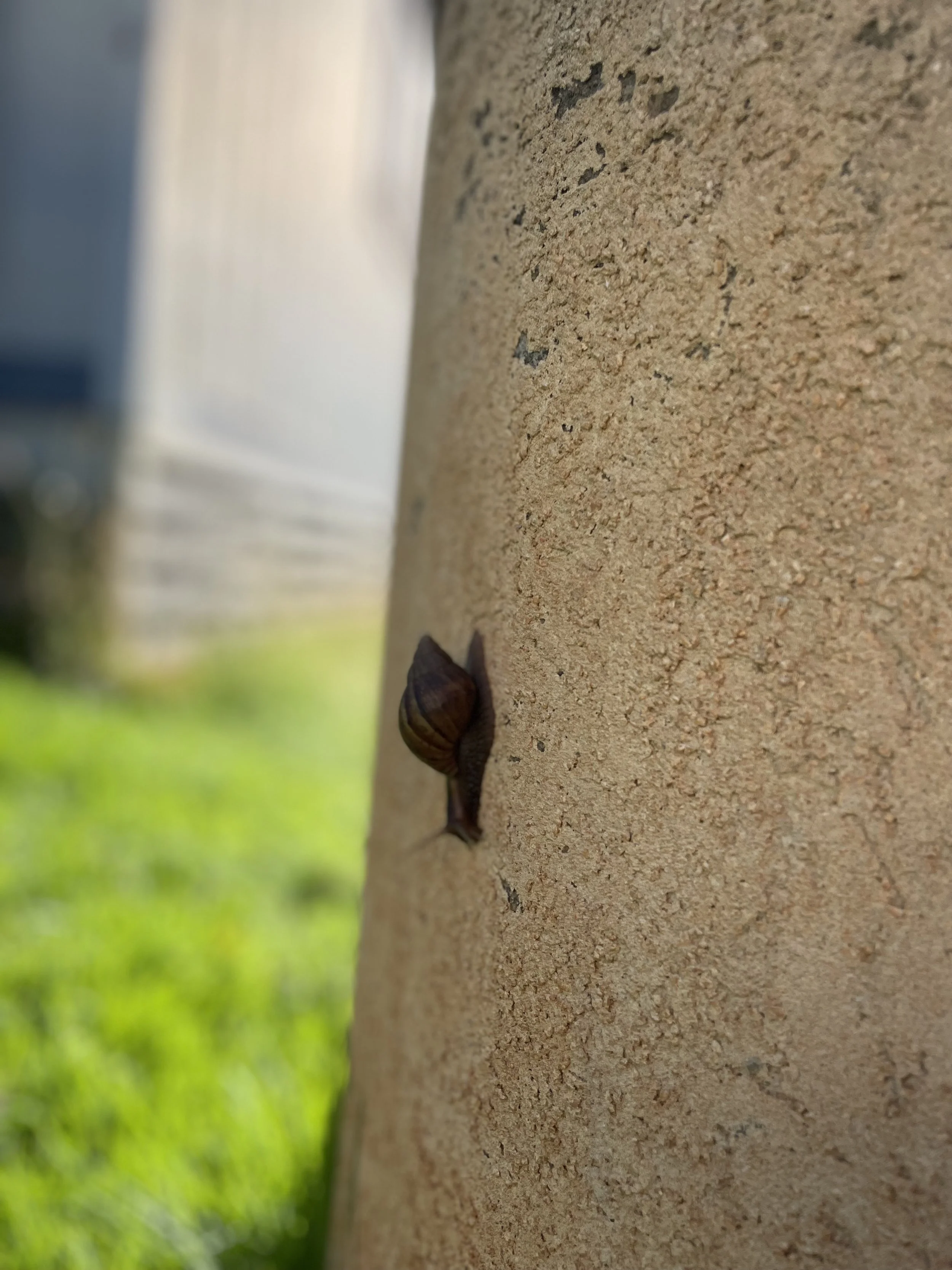 IMG_7993.jpeg