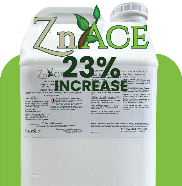 ZnAce-Card.png
