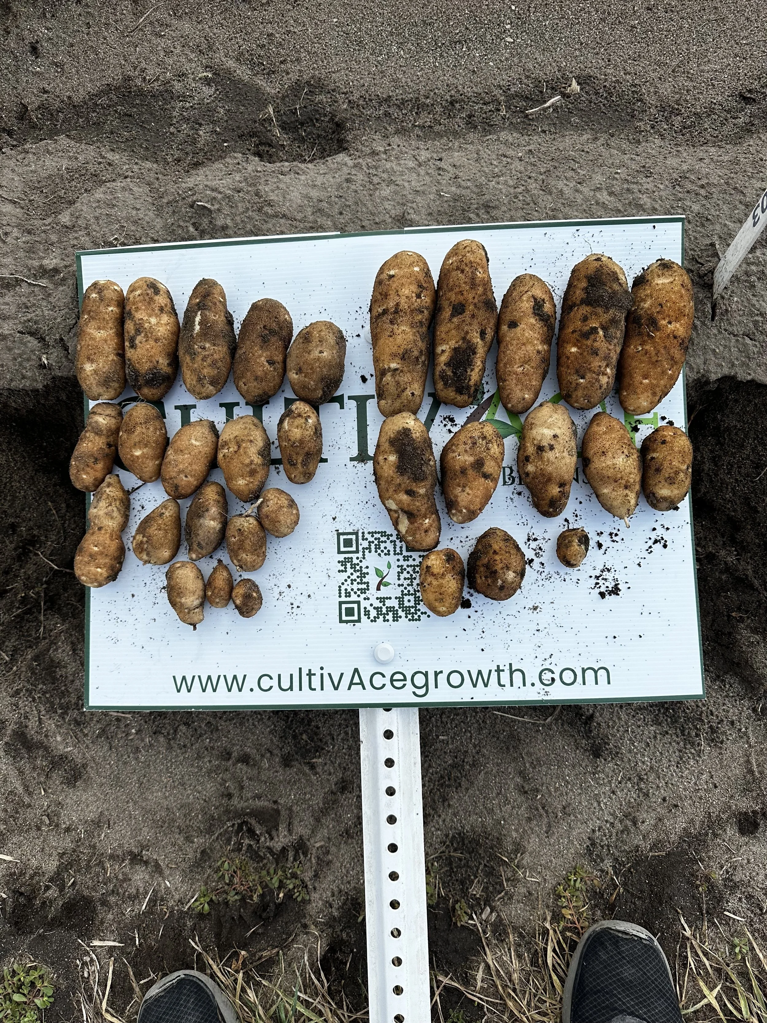 PFM™ On the Right | Grower Standard on the Left