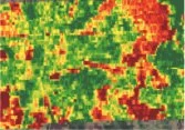 Field map of Free Phos on South Dakota Corn