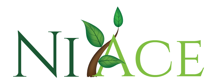 Nickel Acetate Liquid Fertilizer