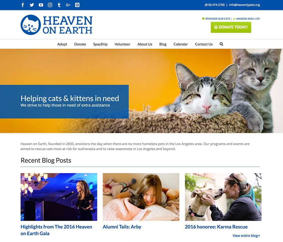 website-design-heaven-earth-rescue.jpg