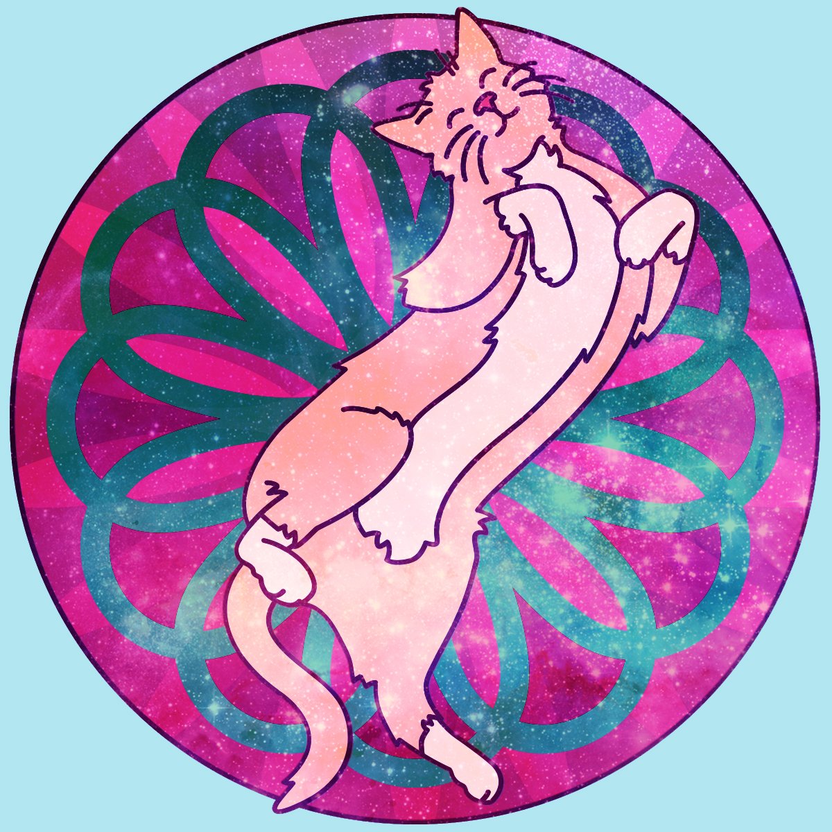space-dirtcat copy.jpg