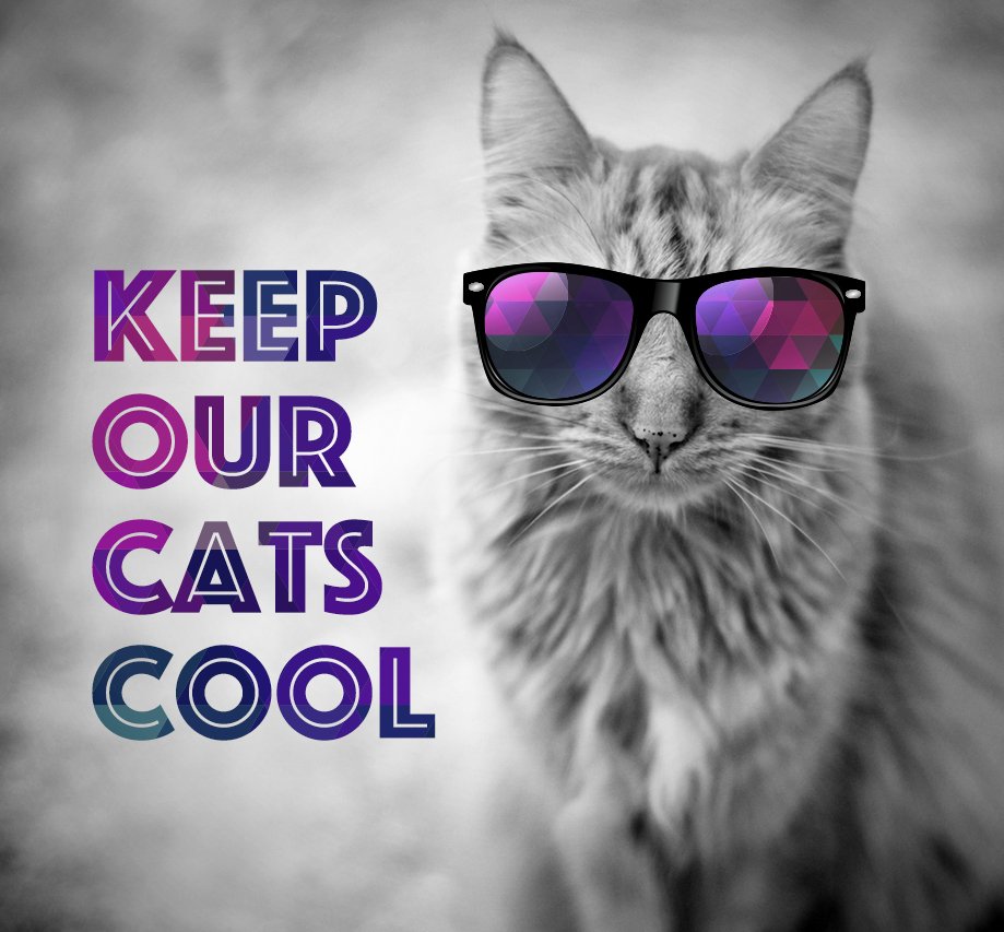 keep-cats-cool.jpeg