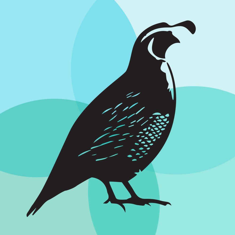 illustration-quail.jpg