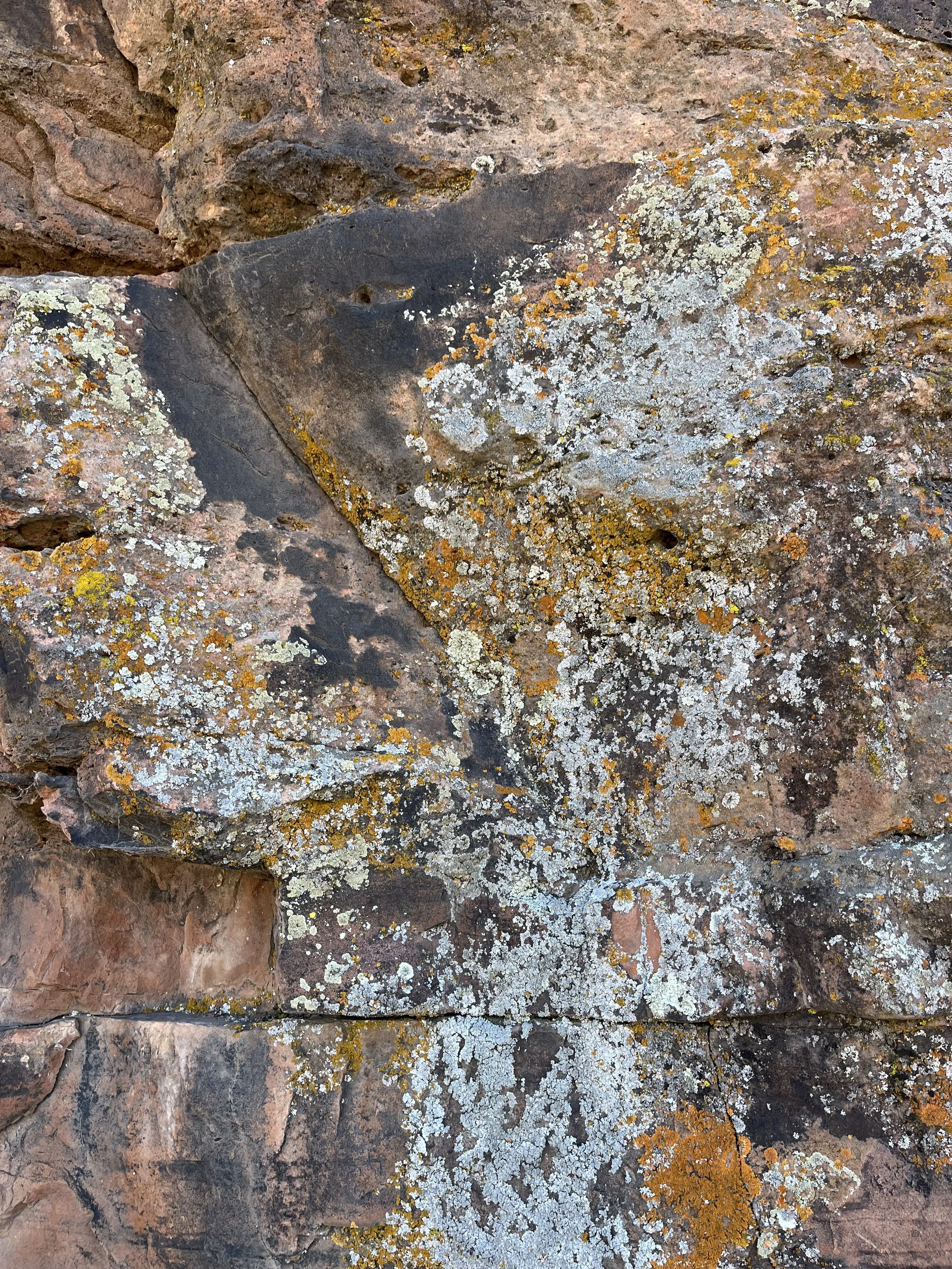 teen therapy boulder